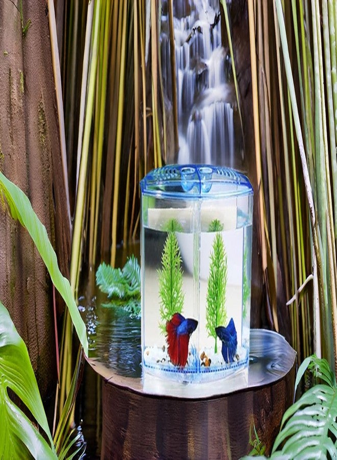 PBR Betta Fish Tank with 2 compartments | Fighter Fish Tank with partition | Suitable only for Small Fishes - Image 4