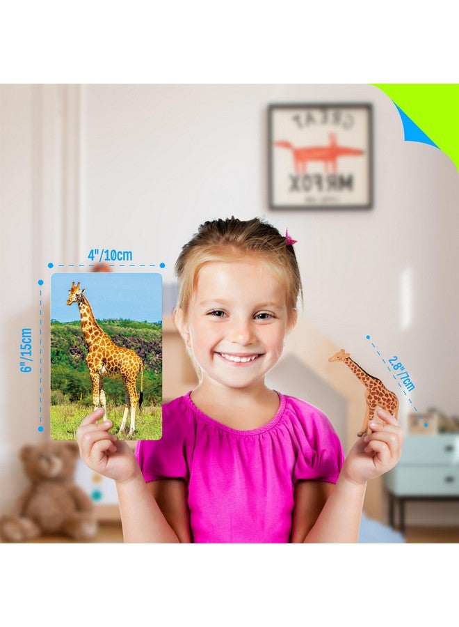 SpriteGru 15 PCS Safari Animal Figurines with 15 Introducing Flashcards, Realistic Zoo Animal Figures Montessori Toys Science Educational Matching Game for Homeschool Preschool Toddler Kids - Image 3