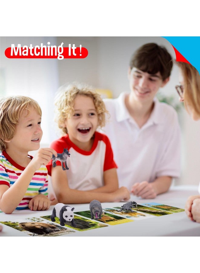 SpriteGru 15 PCS Safari Animal Figurines with 15 Introducing Flashcards, Realistic Zoo Animal Figures Montessori Toys Science Educational Matching Game for Homeschool Preschool Toddler Kids - Image 5