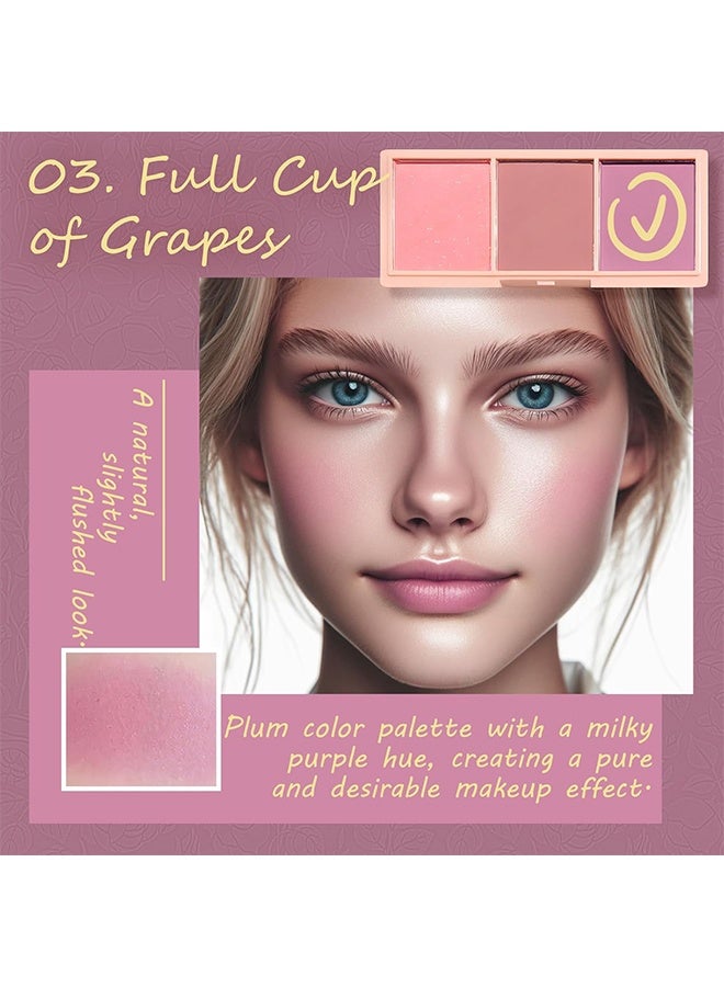 PIPLYKI Dream Girl Three Color Blush Tray,3 Color Matte Pink Blush Palette with Brush, Long Lasting Cheek Makeup, Smooth and Light Blush Powder for Face Beauty-#02 - Image 5