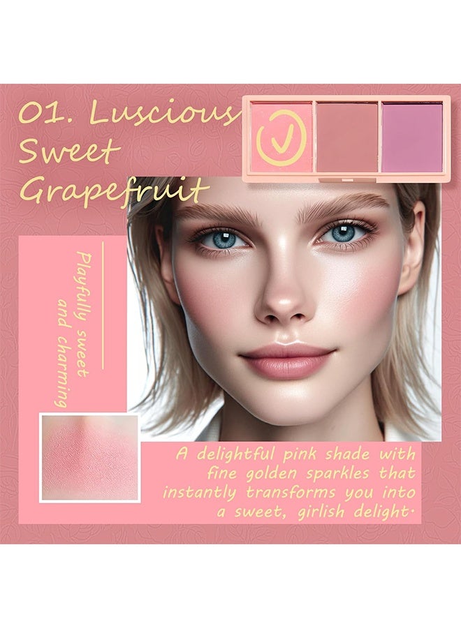 PIPLYKI Dream Girl Three Color Blush Tray,3 Color Matte Pink Blush Palette with Brush, Long Lasting Cheek Makeup, Smooth and Light Blush Powder for Face Beauty-#02 - Image 3