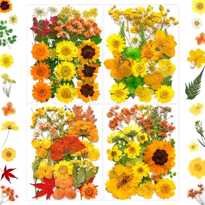 MIKIYA 88Pcs Yellow Pressed Dried Flowers for Resin Molds, Real Natural Bulk Dry Floral Leaves for DIY Art Crafts, Epoxy Jewelry, Candle, Soap Making, Nails Decors - Image 1