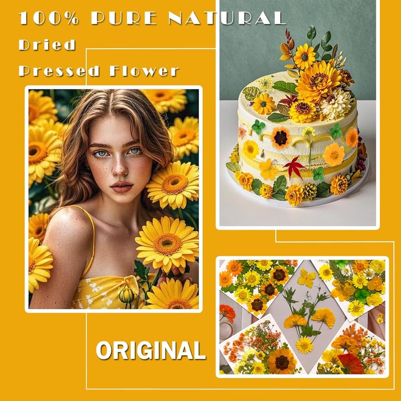 MIKIYA 88Pcs Yellow Pressed Dried Flowers for Resin Molds, Real Natural Bulk Dry Floral Leaves for DIY Art Crafts, Epoxy Jewelry, Candle, Soap Making, Nails Decors - Image 2