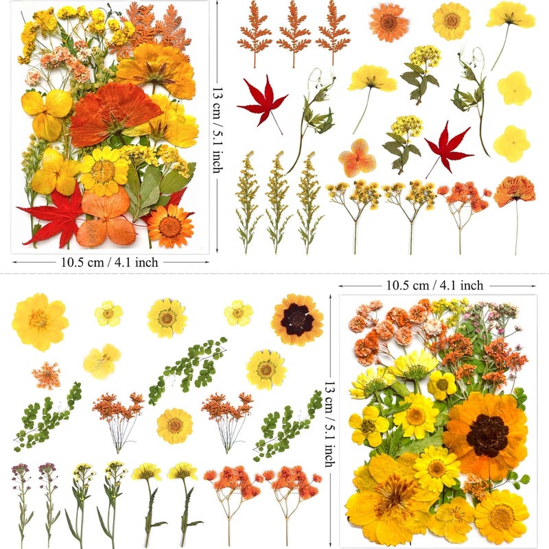 MIKIYA 88Pcs Yellow Pressed Dried Flowers for Resin Molds, Real Natural Bulk Dry Floral Leaves for DIY Art Crafts, Epoxy Jewelry, Candle, Soap Making, Nails Decors - Image 5