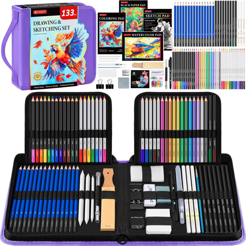 133 Pack Drawing Set Sketching Kit Pro Art Supplies with Sketch Book Coloring Book Watercolor Pad Black Paper Pad Graphite Colored Charcoal Watercolor  Metallic Pencils for Artists Adults Kids