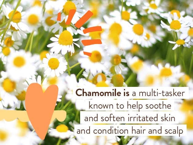 Babo Botanicals Sensitive Baby Fragrance-Free Diaper Cream - 25% Natural Zinc Oxide - Calendula, Shea & Cocoa Butter - EWG Verified - Vegan- From birth on - Image 4