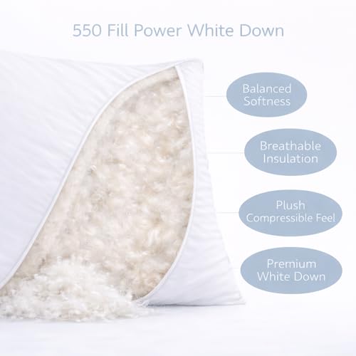 Continental Bedding Harmony White Goose Down Pillow 550 Fill Power Firm Loft 100% Cotton 300 Thread Count Shell Queen Size 2 Pack Made in USA - Image 3