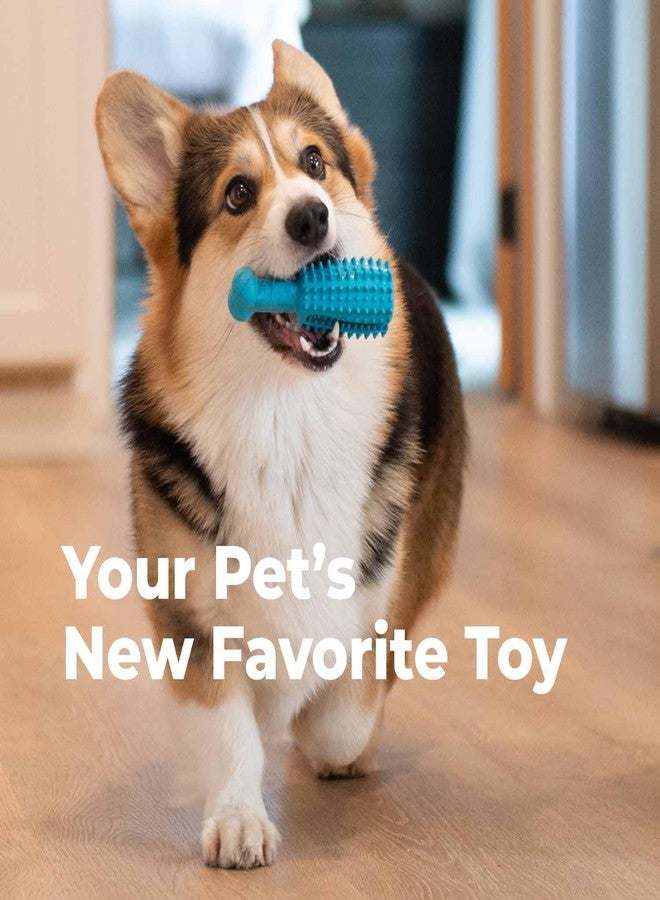 Oxyfresh Dog Dental Chew Toy - Best Dog Teeth Cleaning Toy - A Simple Bite and Brush Toy That Helps Remove Plaque, Cleans Teeth & Freshens Breath Without Brushing - Large - Image 3