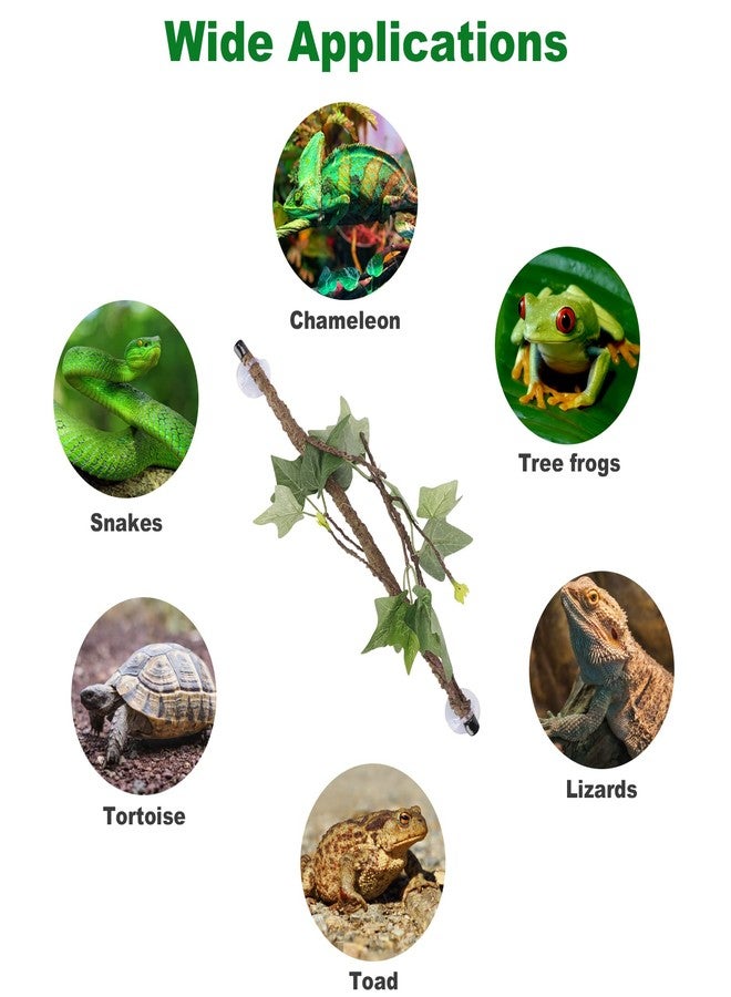 Plplaaoo 2Pcs Reptile Corner Branch with Suction Cups - Flexible Climbing Terrarium Plant Decoration for Bearded Dragon Gecko Snake Habitat, Terrarium Plant Ornament with Suction Cup - Image 5