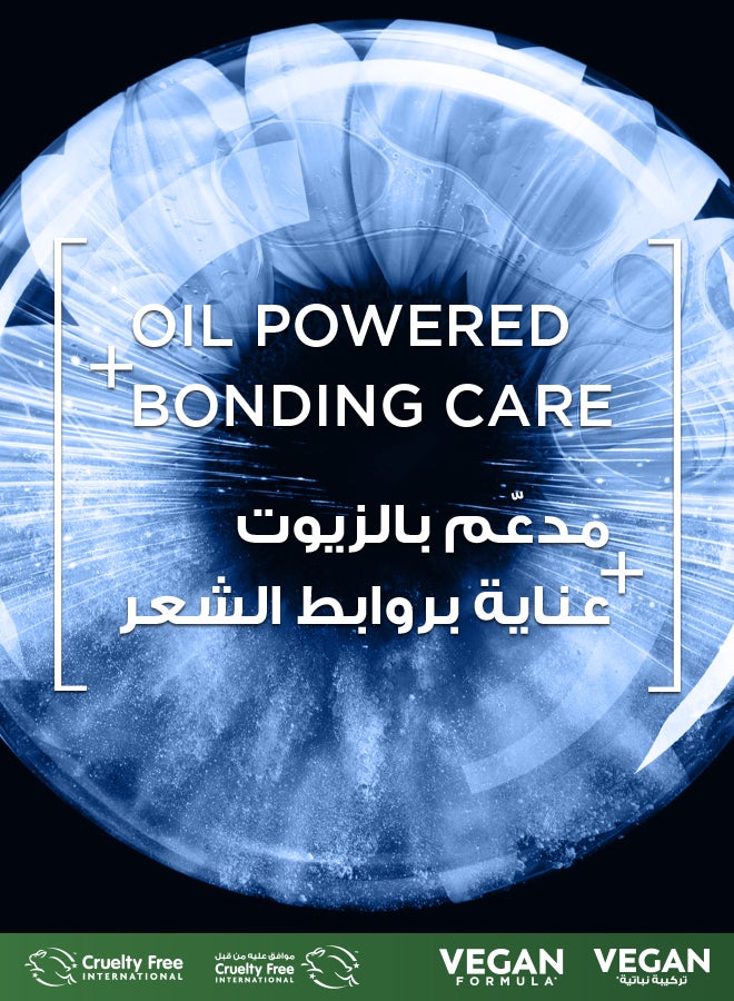 غارنييه أوليا بليتش B++ ماكس بدون أمونيا – مجموعة تفتيح متكاملة مع عناية بتقوية الروابط وزيوت الزهور – تركيبة نباتية - Image 2