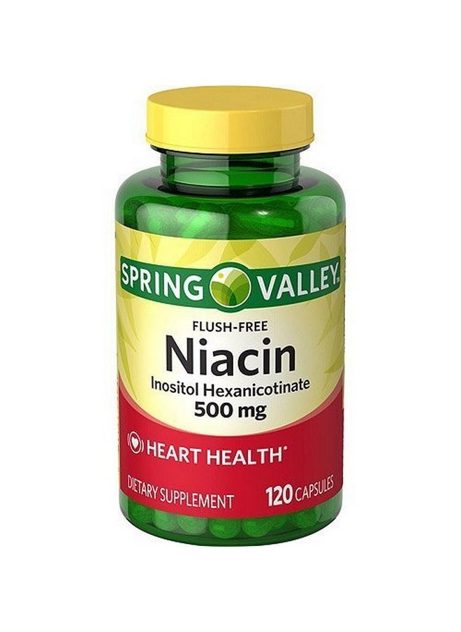 Dietary Supplement Flush Free Niacin 120 Ct By Spring Valley - pzsku/ZABB5A16D1F98ED0336EDZ/45/_/1696916655/1cbf252b-bdd3-4525-b274-6efd18893fdf