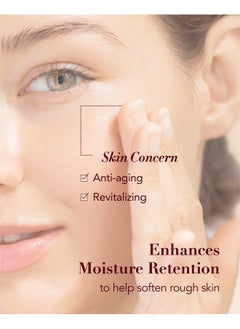Sooryehan Sooryehan Hyobidam Fermented Skincare Gift Set (13.53 fl oz) - Premium Korean Skin Care for Intense Hydration, Elasticity. Ginseng, Snow Fungus.  - Image 5