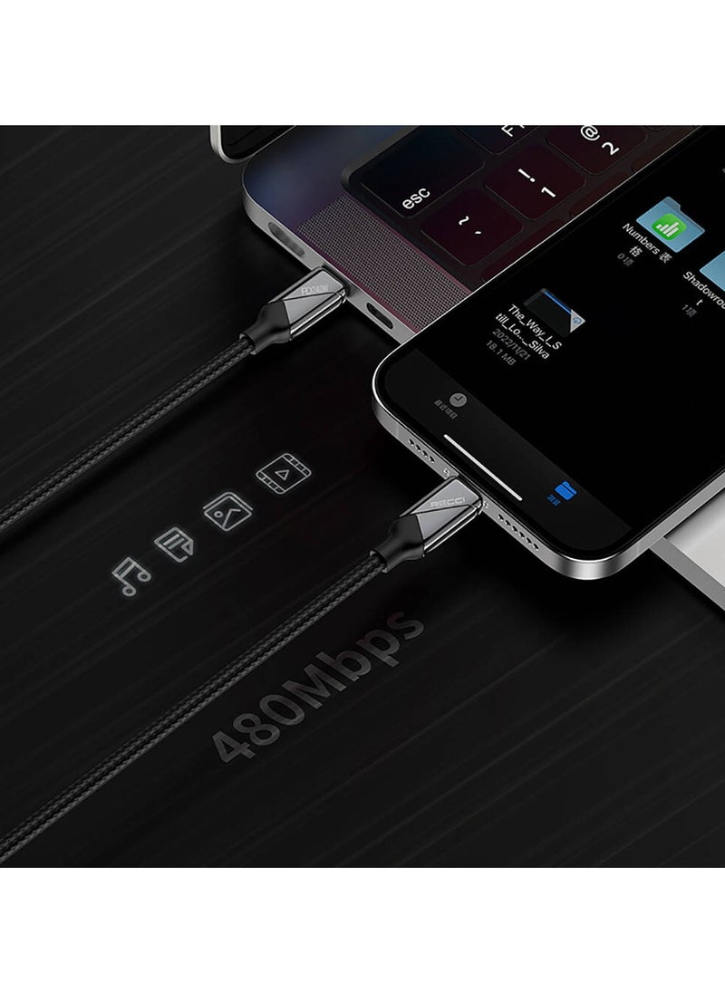 Ritchie RS18CC Travel Series Type-C to Type-C PD 240W Fast Data Charging and 1.5m Charging Cable