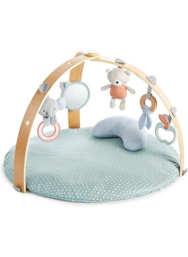 Ingenuity Cozy Spot Duvet Activity Gym with Self-Storage, Machine Washable Mat, Loamy - Image 1