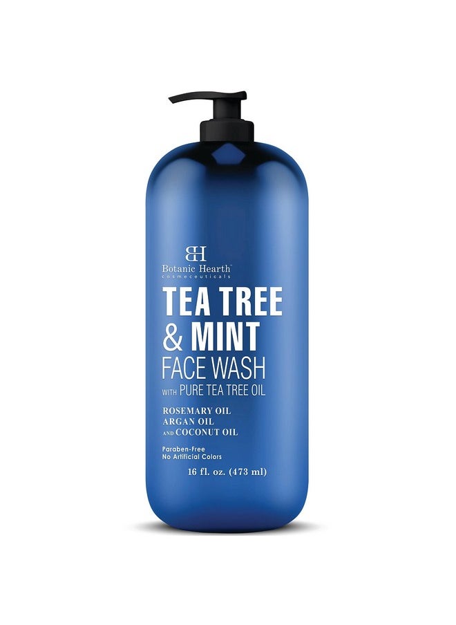 Botanic Hearth Tea Tree Face Wash With Mint - Acne Fighting, Premium, Hydrating Liquid Face Soap With Pure Tea Tree Oil - For Women And Men, Paraben Free, Fights Acne - 16 Fl Oz 