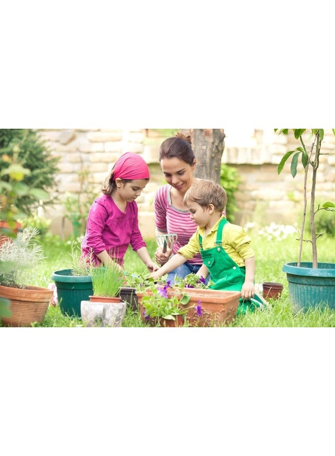 SUCCESS حبوب بيرل هوموس® | مادة هيوميك طبيعية لتكييف التربة العضوية - Image 4