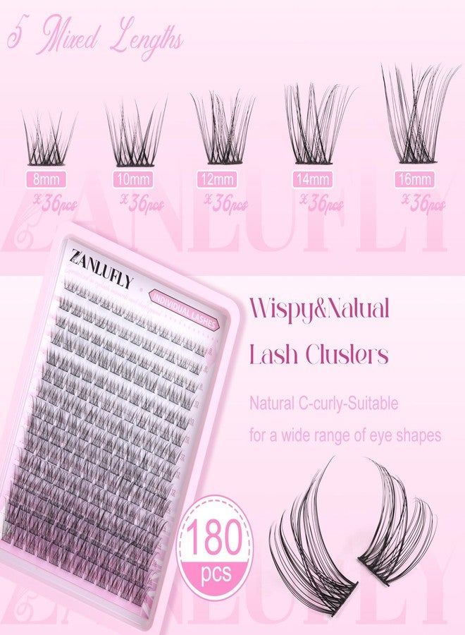 zanlufly Lash CLusters Wispy Eyelash Clusters Natural Lash Extensions C-Curly zanlufly Individual Lashes DIY Eyelash Extensions at Home Mix Length Cluster Lashes (180Pcs,8-16MM) - Image 2
