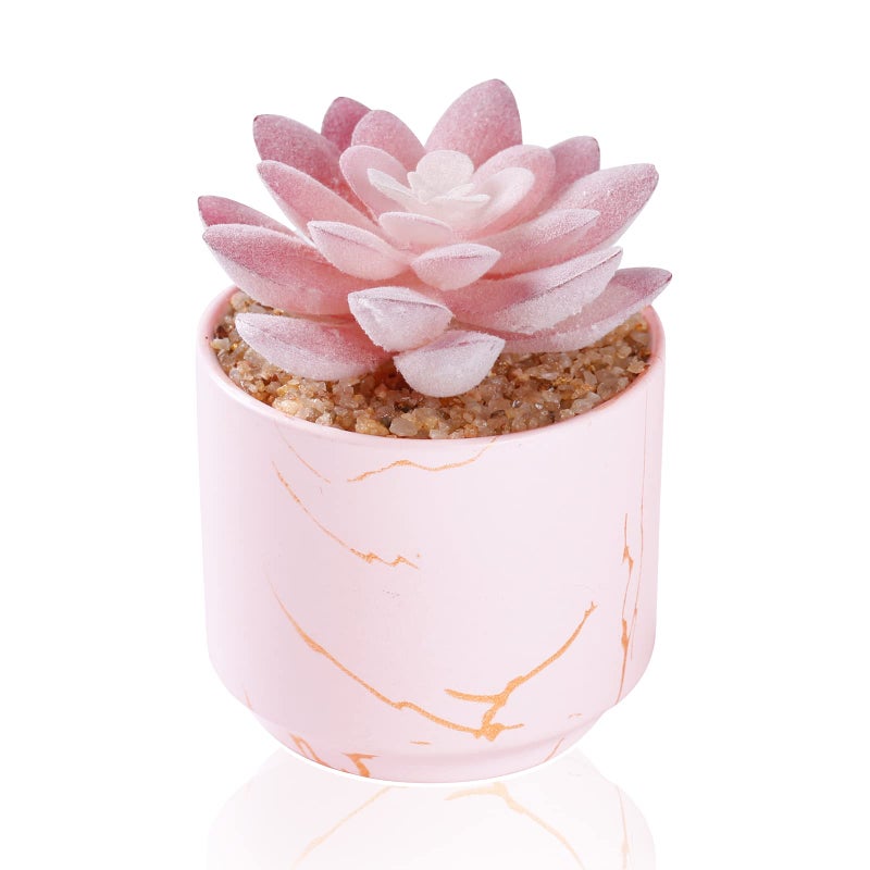 ZENIDA Succulent Artificial PlantsCute Fake Succulents in 1 Pink Ceramic PotsSmall Fake Plants for OfficeTableDeskBathroom BedroomAesthetic Room Shelves DecorDesk Decorations for Women Office