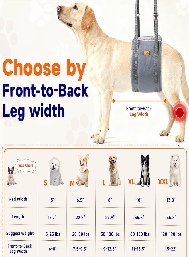 Sunsleek Dog Lift Harness for Large Dogs, Adjustable Dog Sling for Back Legs, Hip Support Harness to Help Lift Dogs Rear for Helps Senior, Injured, Disabled and After ACL Surgery Dogs - Large, Grey - Image 3