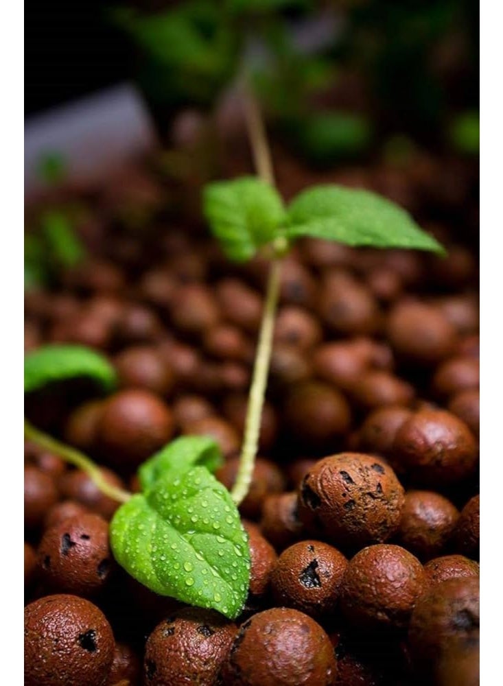 Laika Clay Balls for Hydroponics and Horticulture 500g Expanded Clay Pebbles (8-11mm) – Soil Substitute Aids Root Aeration and Water Retention - Image 2