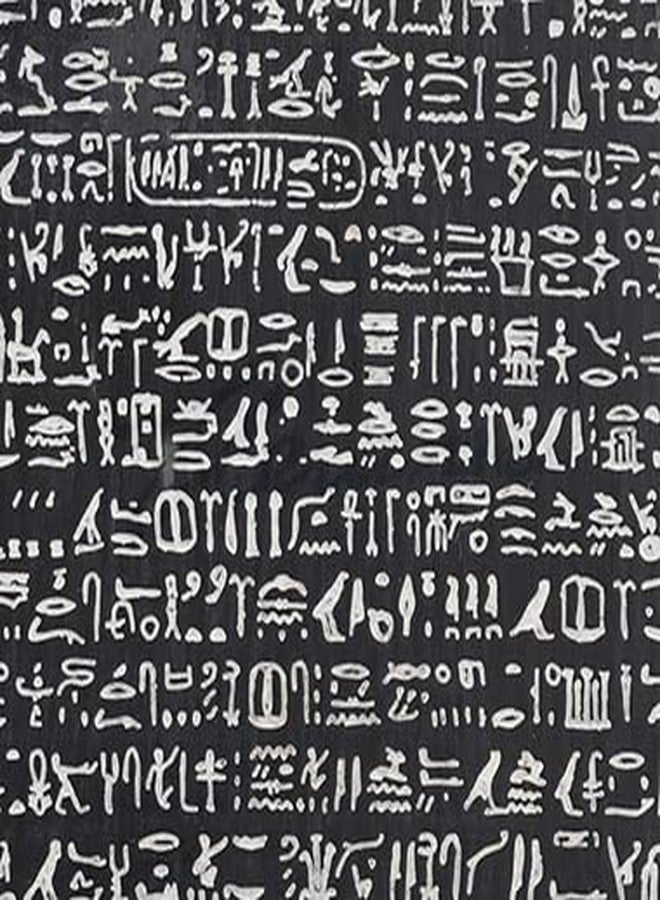 فيرونيز ديزاين لوحة جدارية من الراتنج المصري بتصميم حجر رشيد من فيرونيز ديزاين WU75482AA مقاس 10 5/8 بوصة - Image 4