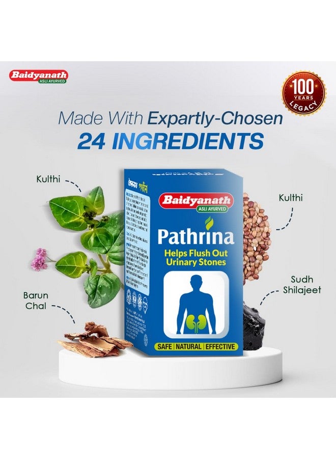 Baidyanath بايدياناث باترينا - 50 قرص (عبوة من 2) | مزيج عشبي أيورفيدي لصحة المسالك البولية - Image 5