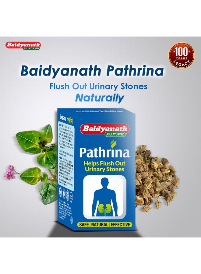 Baidyanath بايدياناث باترينا - 50 قرص (عبوة من 2) | مزيج عشبي أيورفيدي لصحة المسالك البولية - Image 4