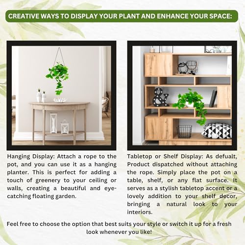 fancymart Elegant Artificial Plant Falling Leaves with Pot for Home & Office Decor – Versatile Potted Plant for Tabletop, Shelves, or Hanging Display - Image 4