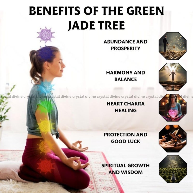 Crystal Divine Green Jade Crystal Tree Handmade Home Decor Items Crystal Bonsai Tree Showpiece for Home Decor Vastu Gift Items for Home Decoration Hall Decoration Items Healing Crystals Tree Gifts - Image 2