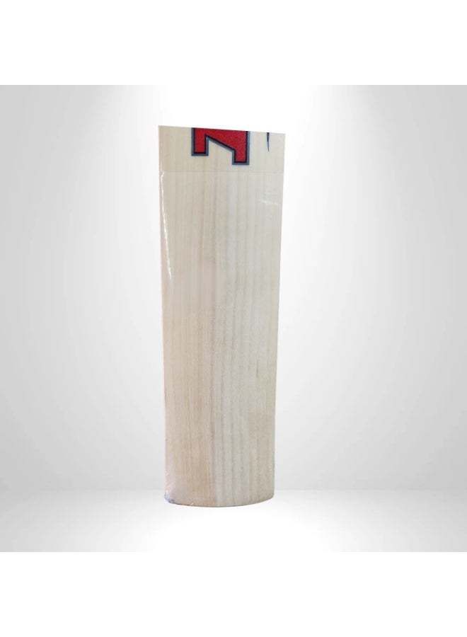 إم آر إف مضرب الكريكيت تشامب كشمير ويلو من إم آر إف، مقاس صغير 4 - Image 2