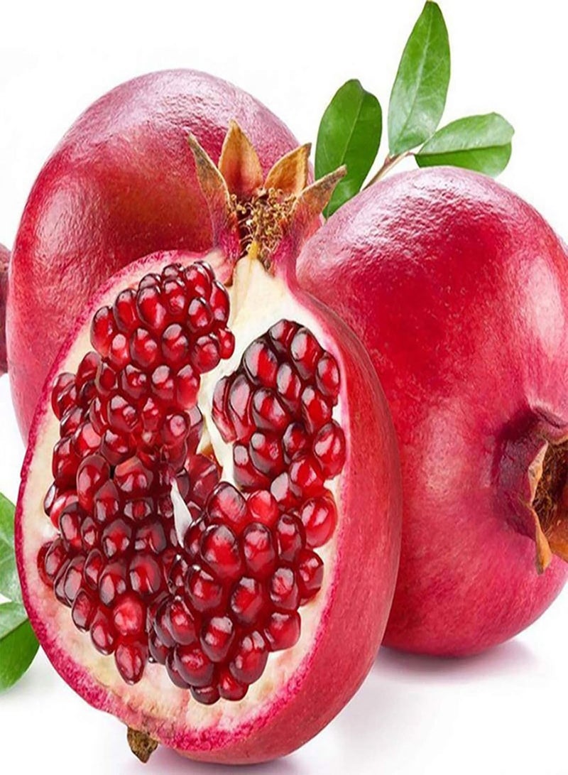 GGOOT 200Pcs Premium Fruit Seeds, Pomegranate Seeds Fresh Nutritious Red Aesthetic Friut Seeds for Countryside Red - Image 1