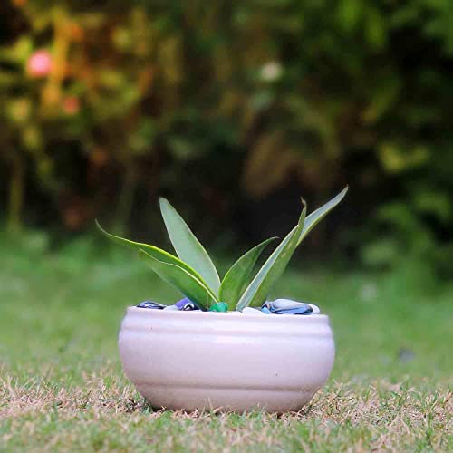 Lasaki Bowl Small White Ceramic Pots for Indoor Plants, Planters, Flower, Pots, gamla, Outdoor, Balcony, Home, Garden, Office Decor, Succulent Pot(D - 15 X H - 8 cm)(Plants not Included) - Image 1