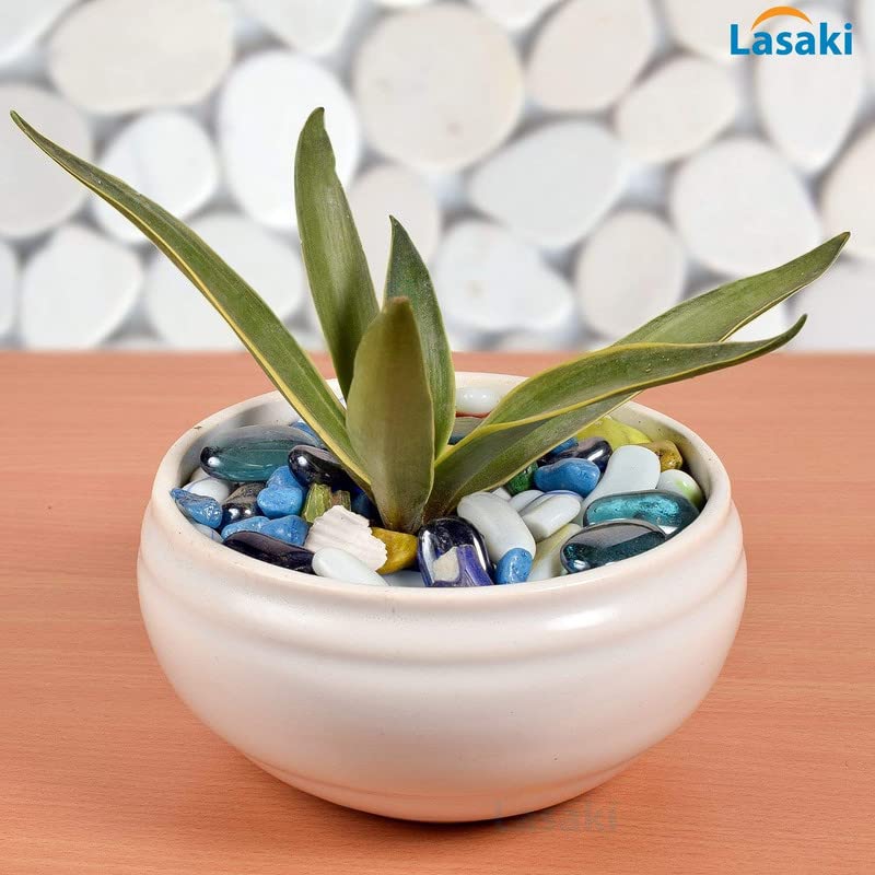 Lasaki Bowl Small White Ceramic Pots for Indoor Plants, Planters, Flower, Pots, gamla, Outdoor, Balcony, Home, Garden, Office Decor, Succulent Pot(D - 15 X H - 8 cm)(Plants not Included) - Image 4