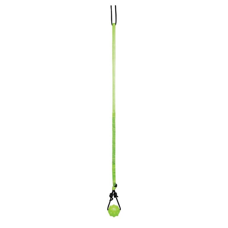 Jolly Pets Tree Tugger For Dog, Green - Image 1