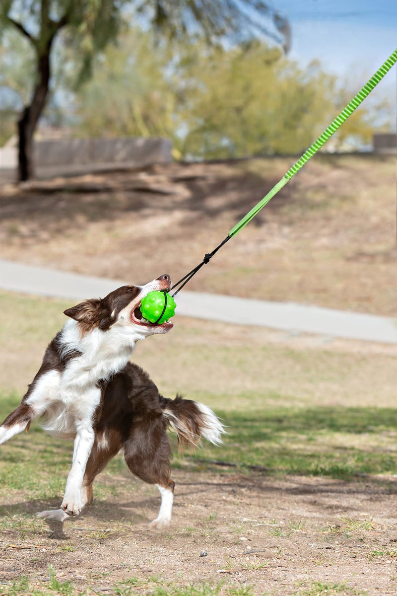 Jolly Pets Tree Tugger For Dog, Green - Image 2
