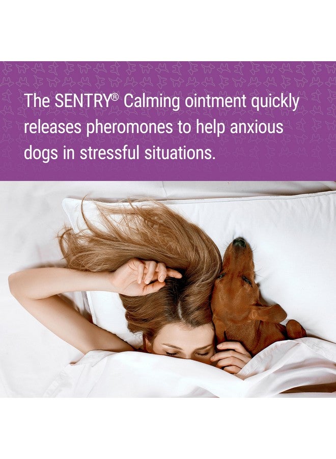 SENTRY Calming Ointment for Dogs, Fast-Acting Releif for Anxious Dogs, 1.5 oz - Image 2