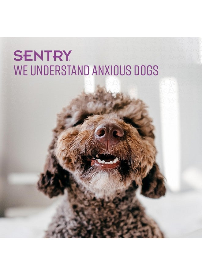 SENTRY Calming Ointment for Dogs, Fast-Acting Releif for Anxious Dogs, 1.5 oz - Image 5