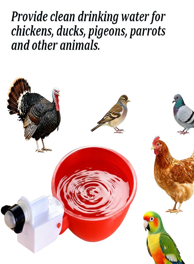 10 plastic automatic drinking cups for poultry, DIY chicken water dispenser, automatic chicken water dispenser kit, poultry water dispenser for chickens, ducks, geese, and turkeys - Image 4