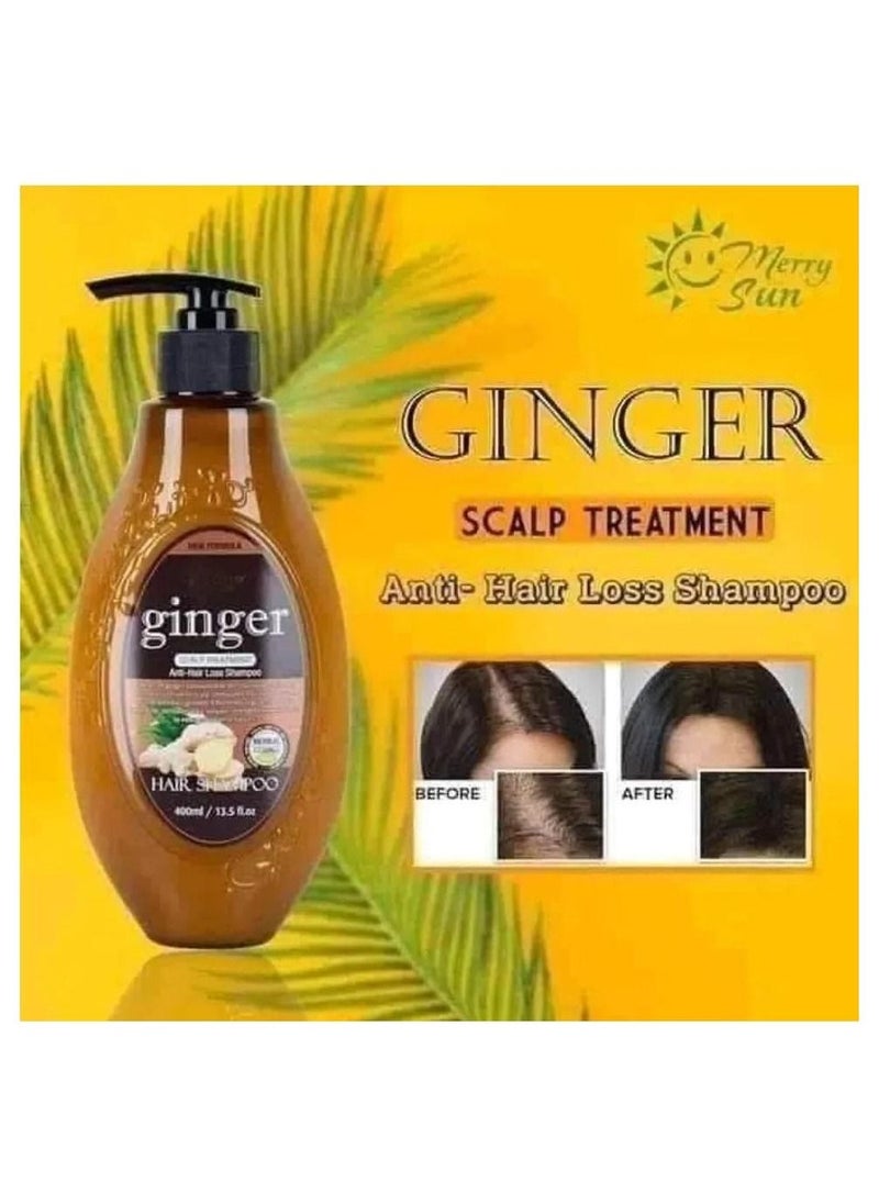 merry sun Merry Sun Ginger Hair Shampoo  - Image 1