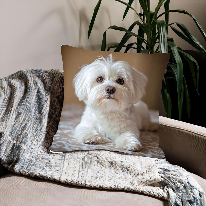 Maltese Dog Farting Pillow 16x16 Inch Soft Polyester Plush Machine Washable Living Room Decor - Image 2