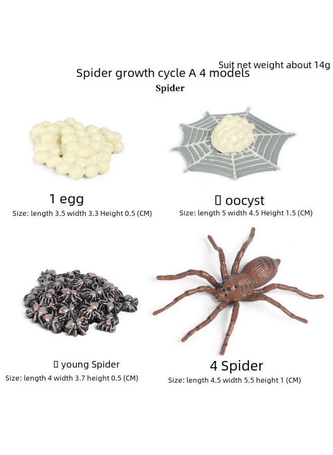 Children's Early Education Simulated Animal Growth Cycle Models Frog erfly Rooster Ant Spider Turtle Plastic Toys-Color:KZ Prehistoric Mini Ocean A (set Of 6) - Image 4
