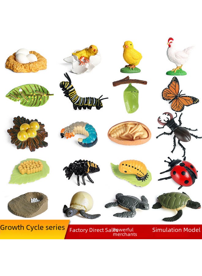 Children's Early Education Simulated Animal Growth Cycle Models Frog erfly Rooster Ant Spider Turtle Plastic Toys-Color:KZ Prehistoric Mini Ocean A (set Of 6) - Image 2