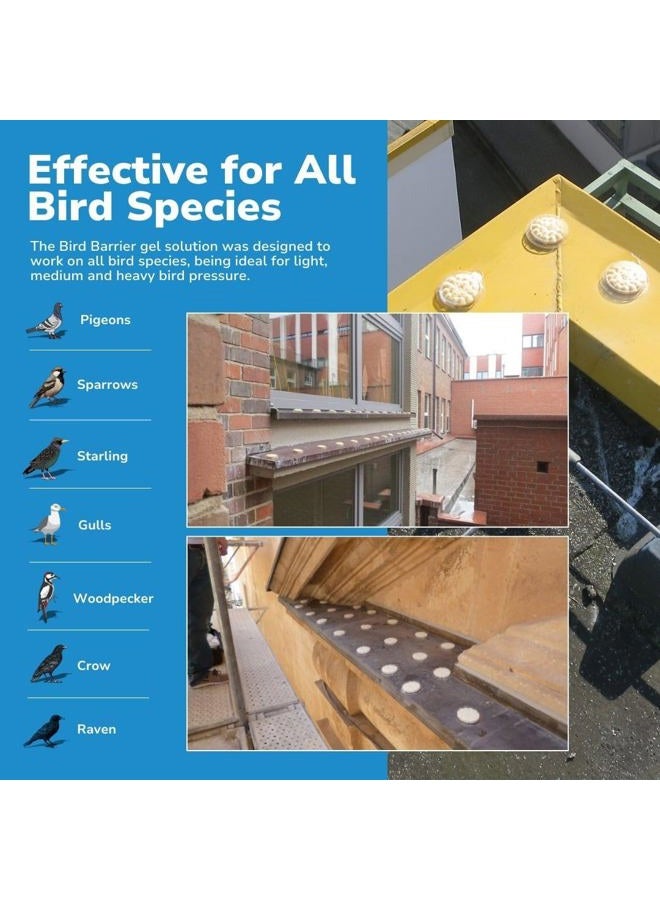 Bird Barrier Optical Gel (24 Pack) Multi-Sensory Bird Repellent. Seen as Dishes of Fire that scares birds away. Humane Alternative to Bird Spikes. Effective as a Woodpecker, Pigeon and Bird Deterrent - Image 5