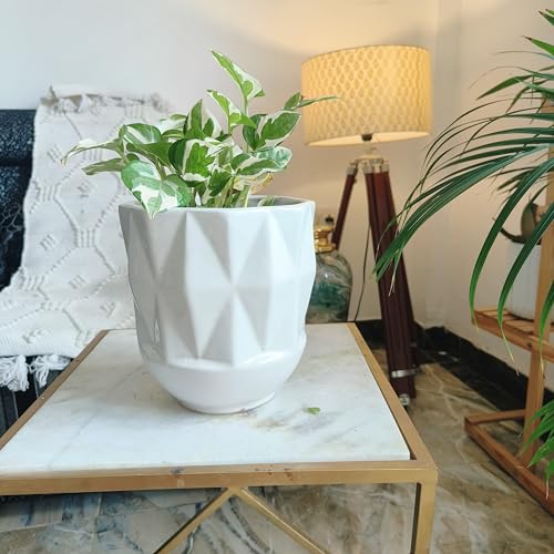 Niyara Premium Self Pattern Look Ceramic Pots Planters for Indoor Plants,Succulent,Outdoor,Balcony,Home,Garden,Office (White) - Image 1