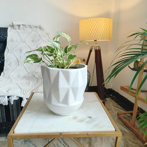 Niyara Premium Self Pattern Look Ceramic Pots Planters for Indoor Plants,Succulent,Outdoor,Balcony,Home,Garden,Office (White) - Image 2