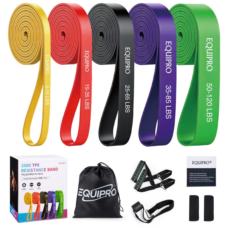 Equipro Resistance Bands, Exercise Bands, Resistance Bands for Working Out with Handles and Door Anchor, Workout Bands for Men Women with Protective Sleeve for Fitness Weights Work Out at Home - Image 1