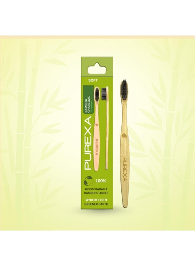 PUREXA Healthy Gums Gum Care Toothpaste (100G) With Bamboo Charcoal Toothbrush - Image 2