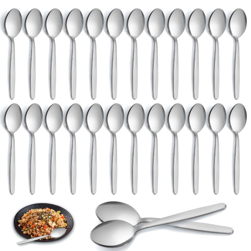 Pleafind Set of 24 Stainless Steel Dessert and Dinner Spoons  73 Inches 185cm for Home Kitchen Restaurant  Mirror Polished Dishwasher Safe