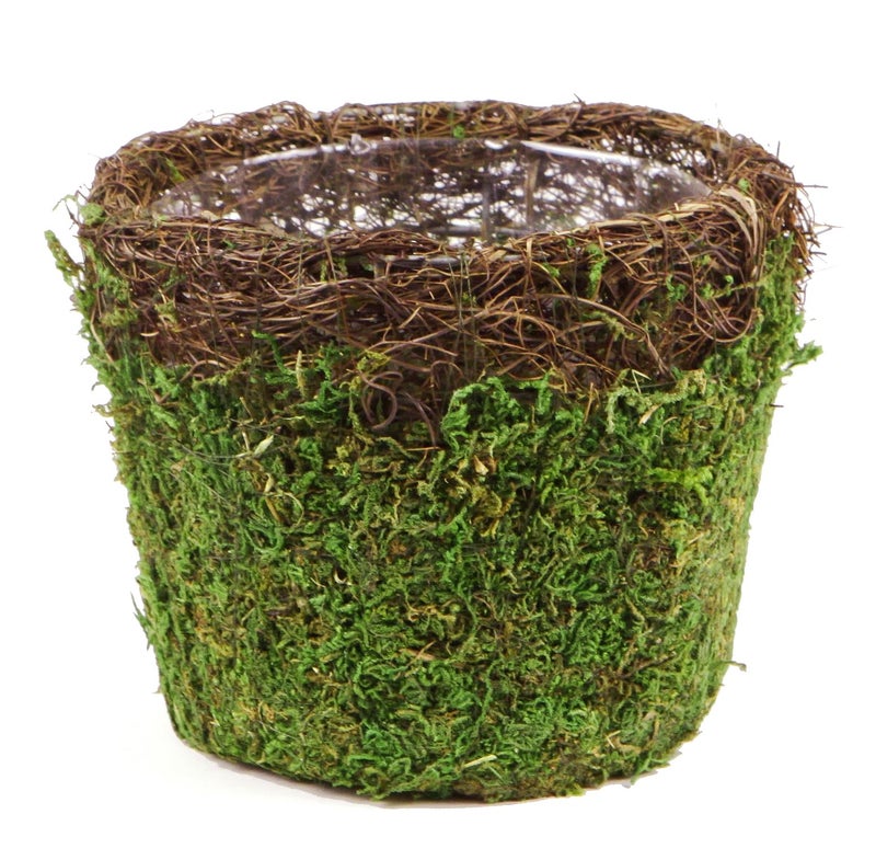 SuperMoss (55152) Vineyard Decorative Moss Basket Ideal for Home Decor, Office Decor, and Indoor Plants, Medium Size: 5.5â€³ x 4.7â€³, Fresh Green - Image 1