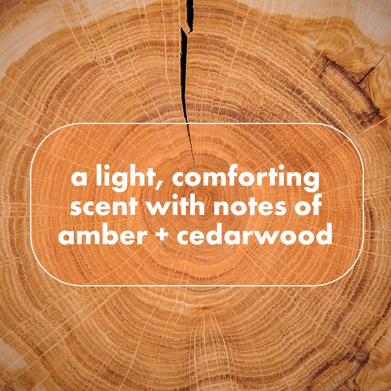 Dove Men+Care DOVE MEN + CARE Whole Body Deo Aluminum-Free Deodorant Stick Shea Butter + Cedar from Pits, Privates, to Feet with Vitamin E 2.6 oz - Image 5